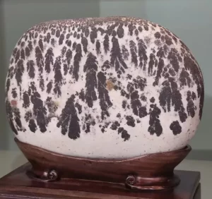 Story of Stone